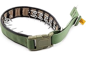 KEEPER COLLARS Keeper Collar Hidden Prong with Snap – Adjustable Hidden Pinch Collar, Heavy Duty Chrome, 200 lb Clasp, Made in America (18, Green)