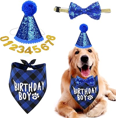 Fantasyon Dog Birthday Hat and Bandana Set Blue Reusable Party Accessory