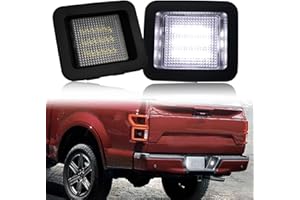 KEEGTBOX Full LED License Plate Light Tag Lamp Assembly Compatible with Ford 2015-2022 F150 and 2017-2022 F150 Raptor White light 2-Pieces Rear Bumper Tag Lamp Accessories