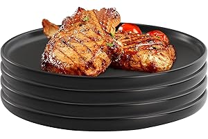 ZENFUN Set of 4 Porcelain Dinner Plates, 10 Inch Matte Ceramic Dish Steak Plates, Elegant Large Round Serving Plates for Sala
