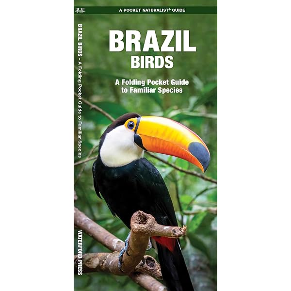 A Field Guide to the Birds of Brazil | Amazon.com.br