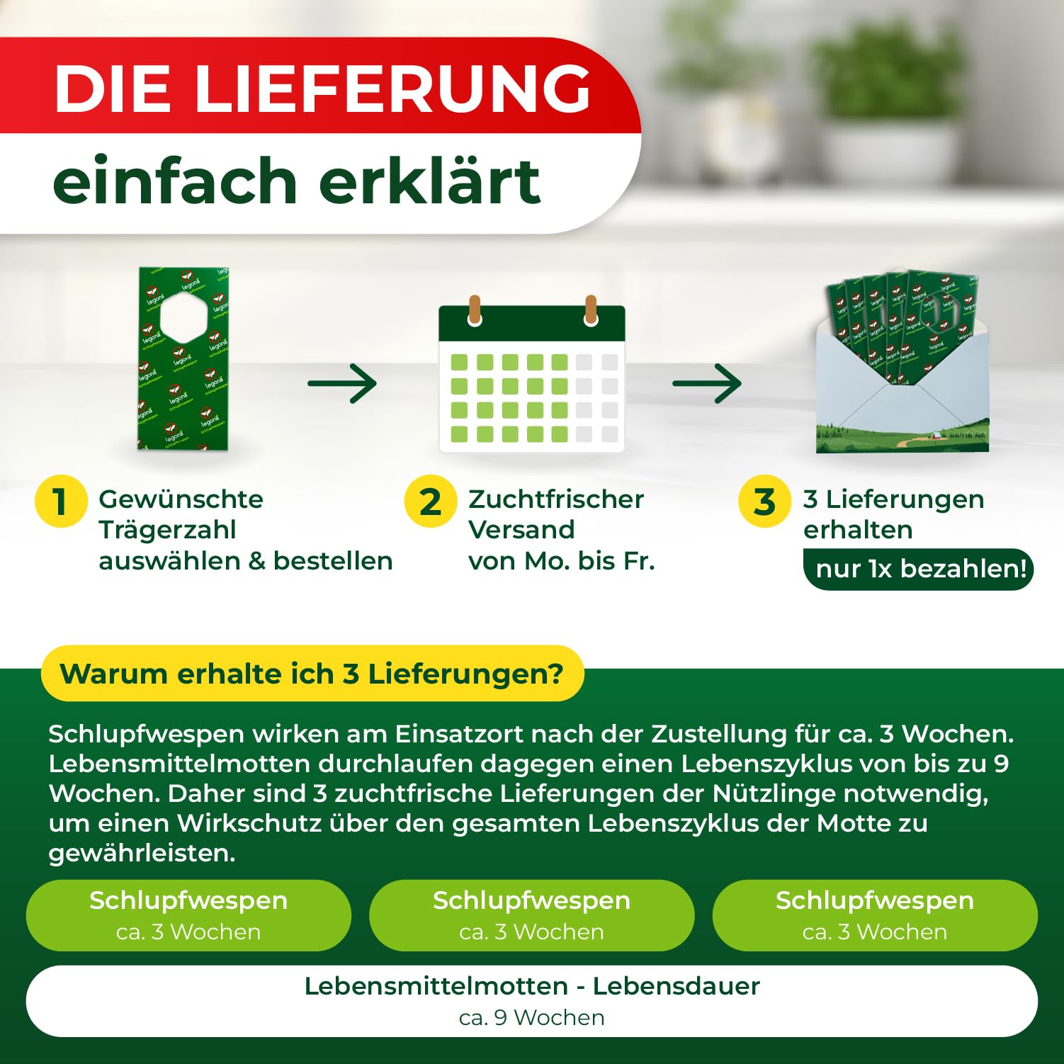 Legona Schlupfwespen gegen Lebensmittelmotten, 3 Lieferungen mit je 3 Trägern, 9 Wochen Vollbehandlung 4