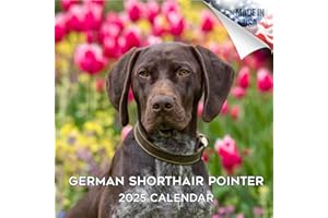 MEGACALENDARS 2024 2025 German Shorthair Pointer Calendar - Dog Breed Monthly Wall Calendar - 12 x 24 Open - Thick No-Bleed Paper - Giftable - Academic Teacher's Planner Calendar Organizing & Planning - Made in USA