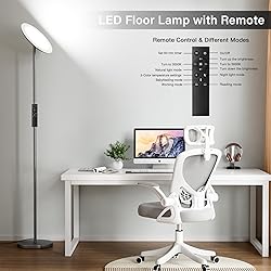 PreeOtti LED Floor Lamp with Remote, Touch