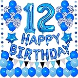 Succris 12ND Blue Theme for 12 Years Old Birthday Party Supplies Blue Happy Birthday Banner Blue Circle Dots Garland Paper Ha