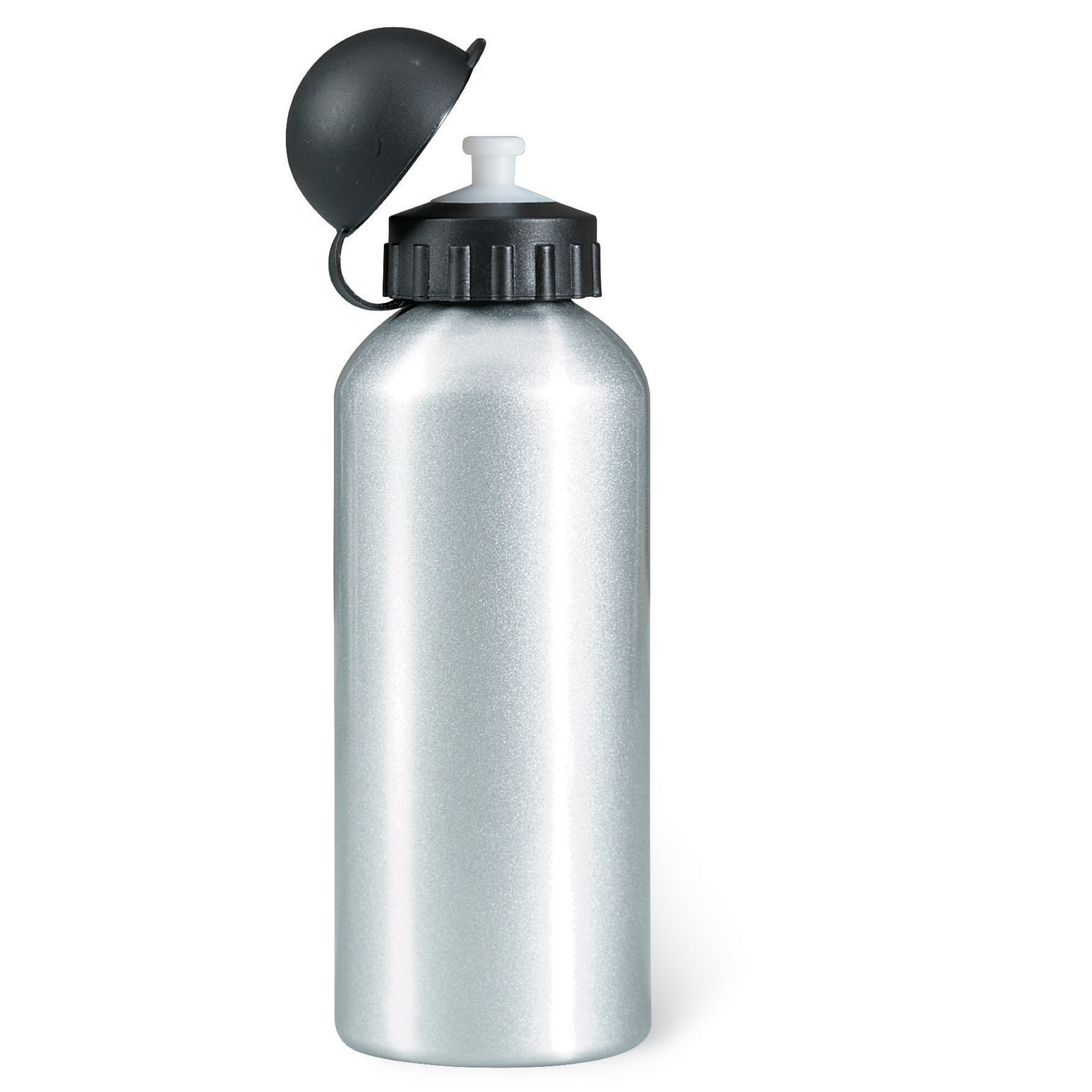 PromotionGift Metal drinking bottle (600 ml) - matt silver