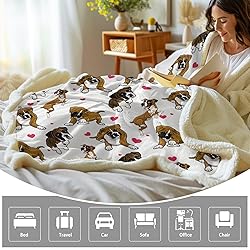 BlessLiving Red Hearts Dog Cat Print Plush Blanket