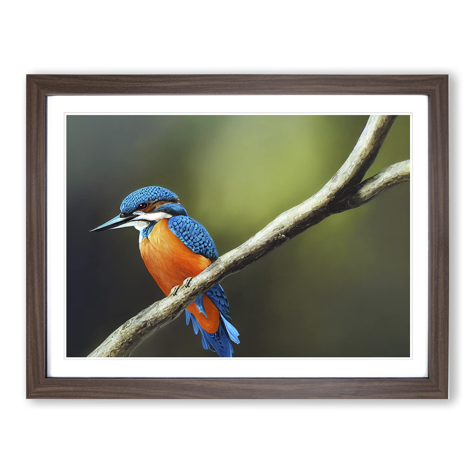 Unreal Kingfisher Bird Framed Print | A4 Walnut Framed Wall Art | Ready to Hang | Modern Nature Picture | Living Room Bedroom Lounge Office