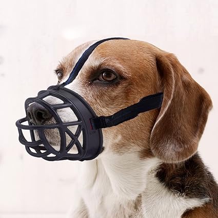 does a muzzle stop a dog barking