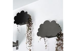 Hajia 2 Pack Wall Planters for Indoor Plants, Black Cloud Shaped Metal Wall Mounted Planter for Succulent Herb Faux Plant, Modern Wall Hanging Planter Decor Art for Bathroom Living Room Porch.