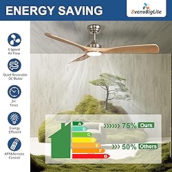BvenuBigLite Outdoor Ceiling Fan with Light: 52