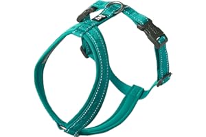 Hurtta Casual ECO Dog Y-Harness, Peacock, 24-28 in