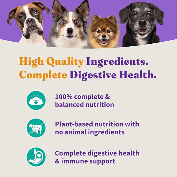 HALO HOLISTIC VEGAN DOG FOOD, PLANT-BASED RECIPE WITH KELP, DRY DOG FOOD, COMPLETE DIGESTIVE HEALTH, KIBBLE FOR ADULT DOGS, 3.5 LB BAG