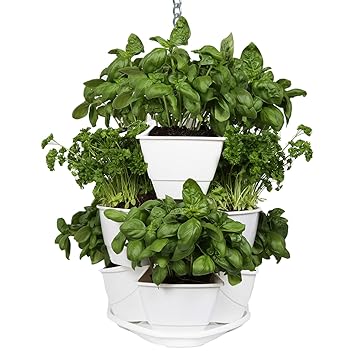 Kräuterregal Zum Aufhängen