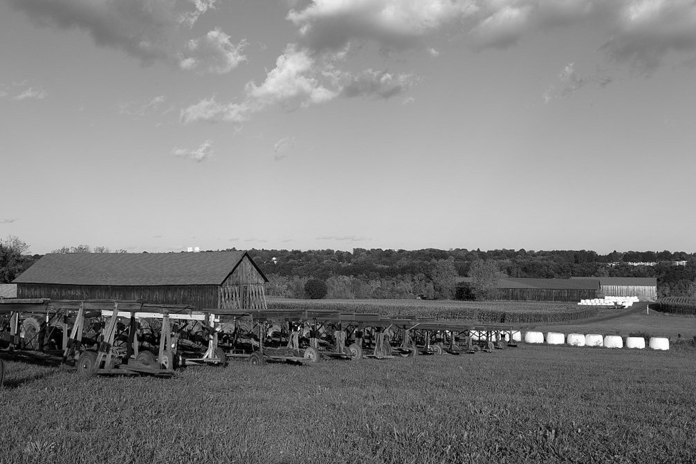 Amazon Com Vintography 8 X 12 Black White Photo Red Tractors