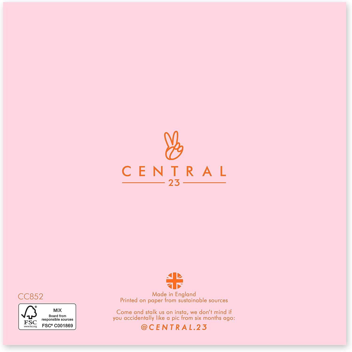 Central 23 - Funny Birthday Card - 'Cat Lady' Joke Design - For Women Her Wife Mum Sister - Comes With Fun Stickers - Image 4