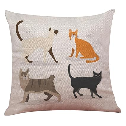 Amazon Com Lelili Sofa Bed Home Decoration Pretty Pillow Case
