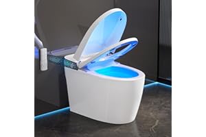 LALIFOY Smart Toilet with Bidet Built in, Elongated Bidet Toilet with Auto Soft Open/Close, Auto Flush, One Piece Toilet with Warm Wash & Dryer, Heated Seat, LED & Night Light, Self-Cleaning, Full/Half Flush