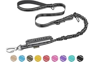 AUBELL Heavy Duty Dog Leash, Reflective Dog Leashes with Car Seat Belt and Soft Padded Handle, 4-6ft Strong Dog Leash for Training, No Pull Bungee Dog Leash for Large Medium Dogs, Black