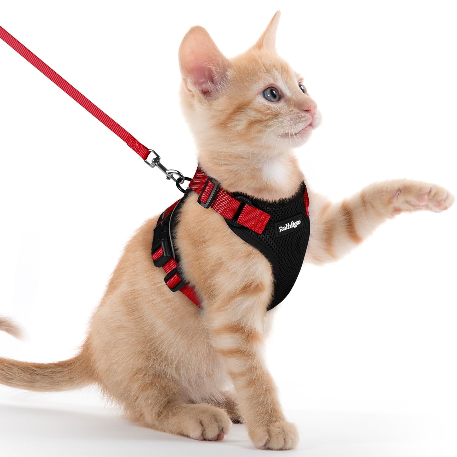 Photo 1 of rabbitgoo Cat Harness and Leash for Walking, Escape Proof Soft Adjustable Vest Harnesses for Cats, Easy Control Breathable Reflective Strips Jacket, Black & Red, XXS