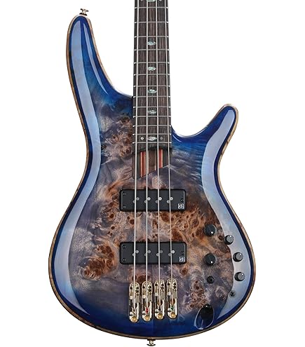 Amazon.com: Ibanez Premium SR1305SB Bass Guitar - Magic Wave