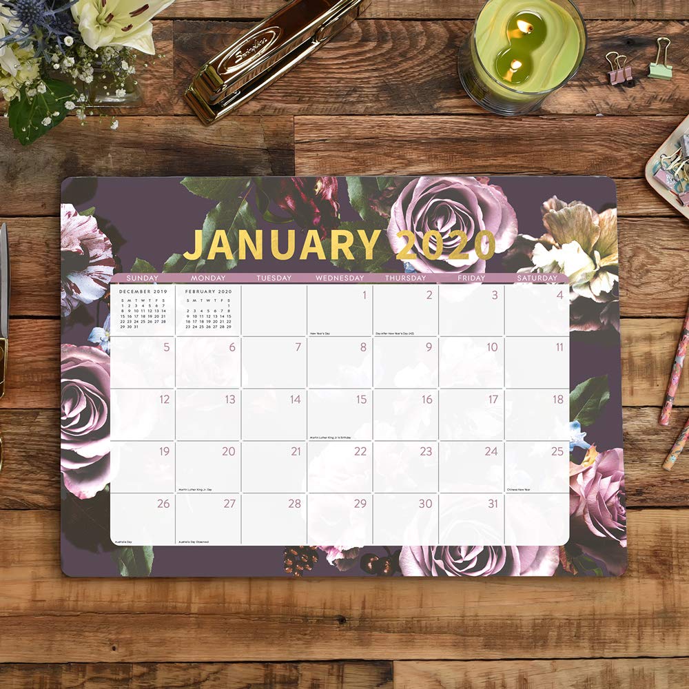 December 2020 August 2019 Orange Circle Studio 2020 Decorative