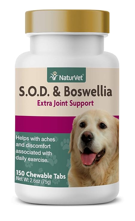 Snapshot of Supporting Dog Joint Health With Boswellia