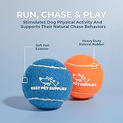 Best Pet Supplies Squeaky Tennis Balls for