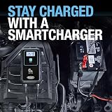 Ring SmartCharge 6A Car Charger & Maintainer with Crocodile Clips view 8