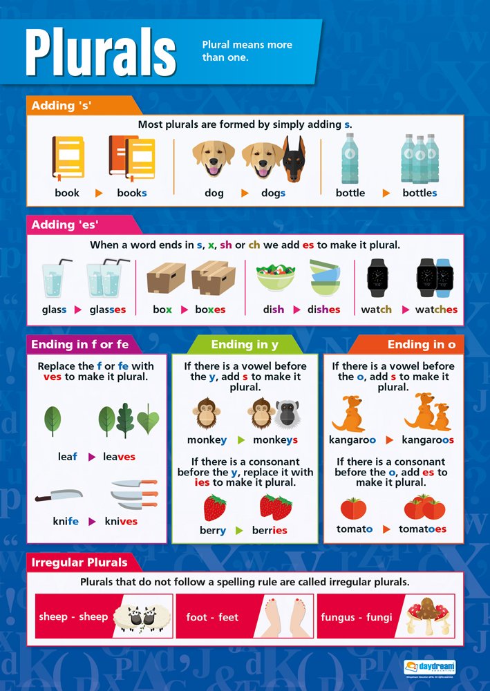 Daydream Education Plurals | English Posters | Gloss Paper measuring 850mm x 594mm (A1) | Language Classroom Posters | Education Charts
