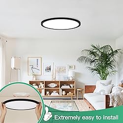 Brightever Black LED Flush Mount Ceiling Light