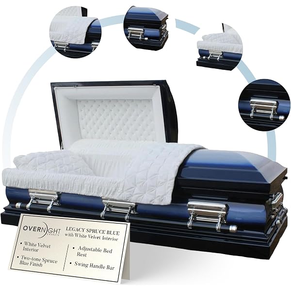 Amazon.com: Falcon Blue Metal Casket : Health & Household