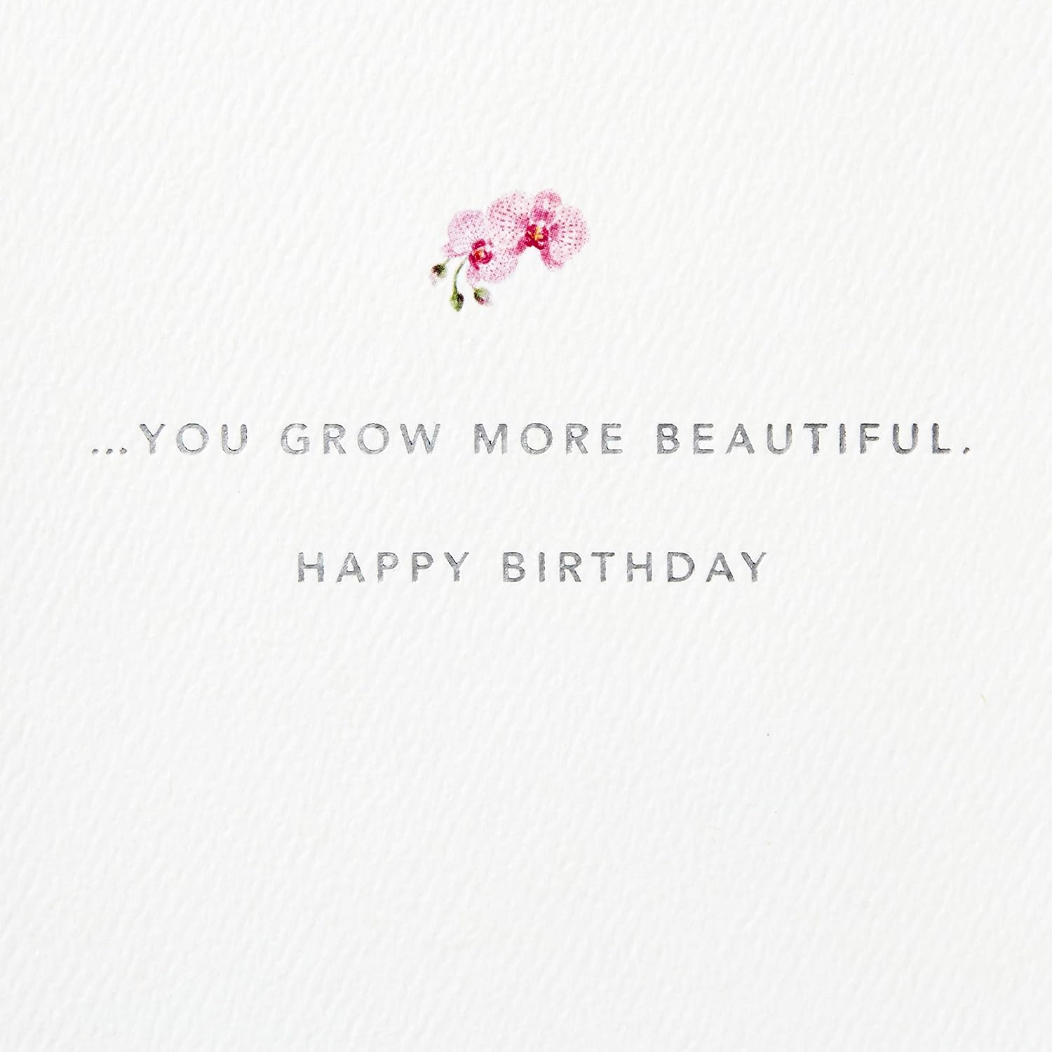 Hallmark Signature Birthday Card for Her (Orchid) : Office Products