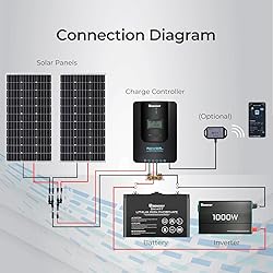 Renogy Rover 20A 12V/24V Auto DC Input MPPT Solar