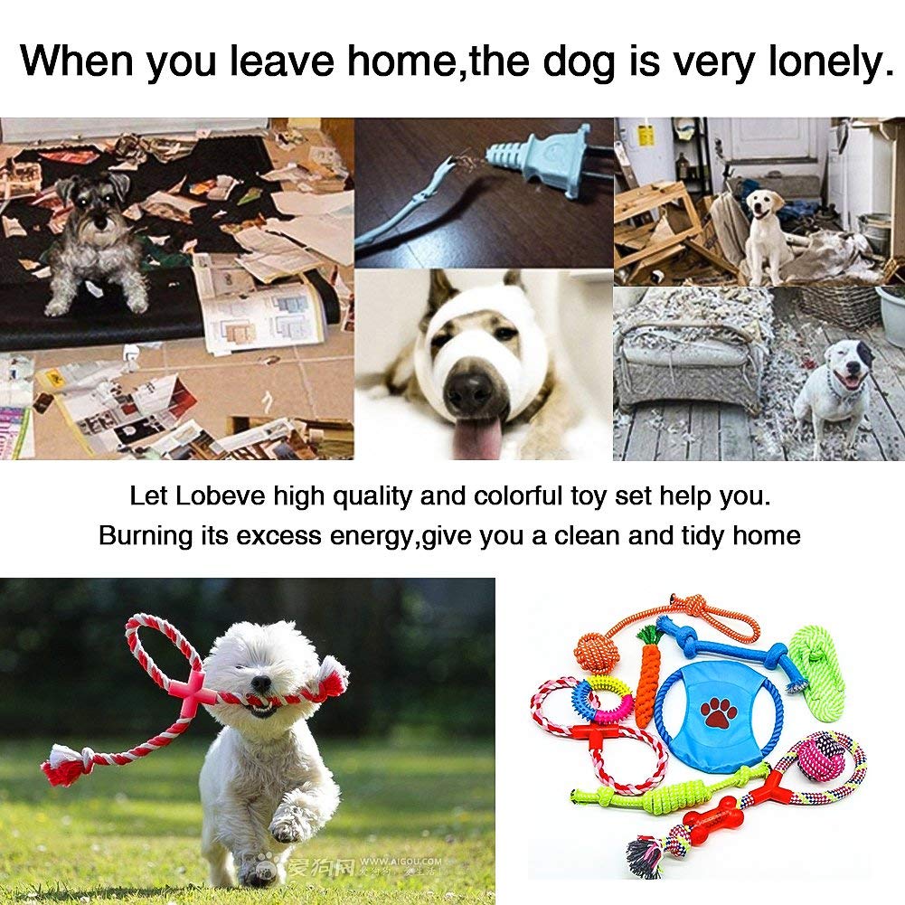 Ciaoed Hundespielzeug für Aggressive Hundekauen-Spielwarengeschenke Interessanter Hund wechselwirkendes Spielwaren für Kleine mittlere große