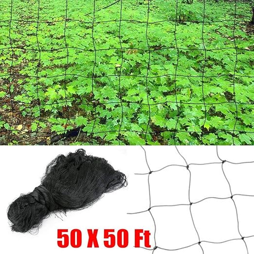 dgcus pájaros árbol de Fruit protective Net plagas Bloquear aves ...