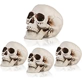 Seenelling 4 Pcs Skull Heads Halloween Decor, 7.9''&5.5'' | Life Size Skeleton & Small Plastic Skulls with Moveable Chins for Halloween Party Props, Table Graveyard Home Decor Gift