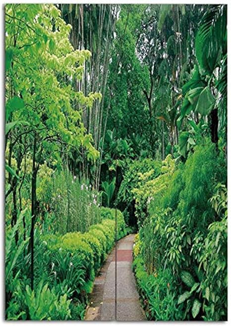 Amazon Co Jp 暖簾分け 類語 85x1cm シンガポールの緑の植物木アジア植物園遊歩道旅行目的地樹木園 リビングルーム ポーチ 洗面所 台所用 間仕切り のれん 暖簾 タペストリーのれん のれん 薄い Home Kitchen