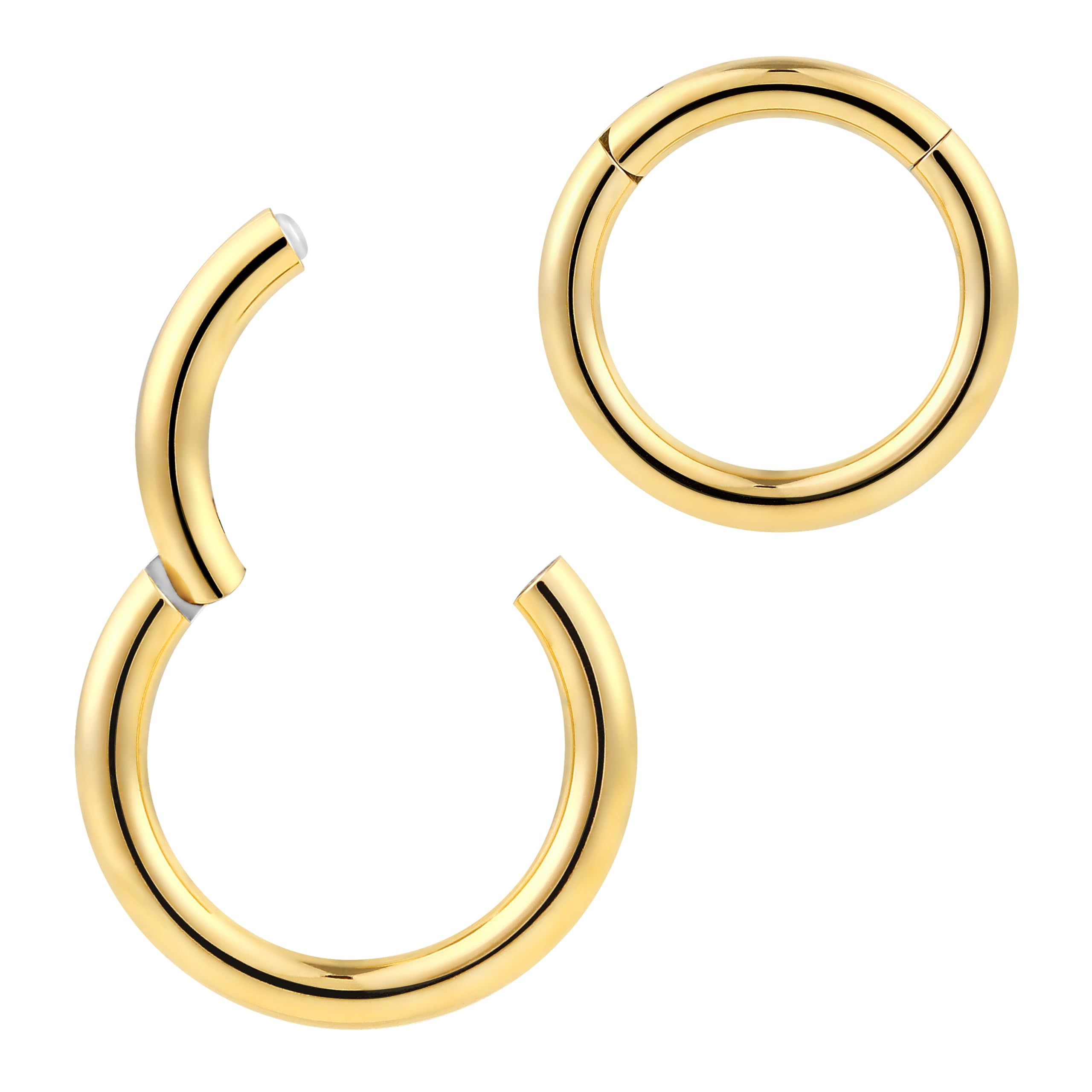 365 SLEEPERS Titanium Implant Grade Nose Rings Septum Jewellery Hinged Segment Ring Body Piercing Hoop Lip Rings Helix Cartilage Rook Earrings Nickel Free Hypoallergenic (12G 16mm)