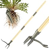RexWeed Stand Up Weed Puller Tool with Bamboo Long Handle for Garden | Heavy-Duty 4-Claw Steel Head with Metal Foot Pedal, Pulls Taproots, Dandelions &amp; Crabgrass &bull; No-Bending Design