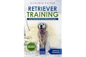 Retriever Training: Dog Training for your Retriever puppy