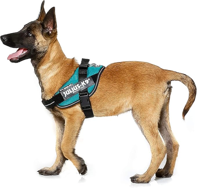 julius k9 petrol green