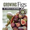Growing Figs in Cold Climates: A Complete Guide