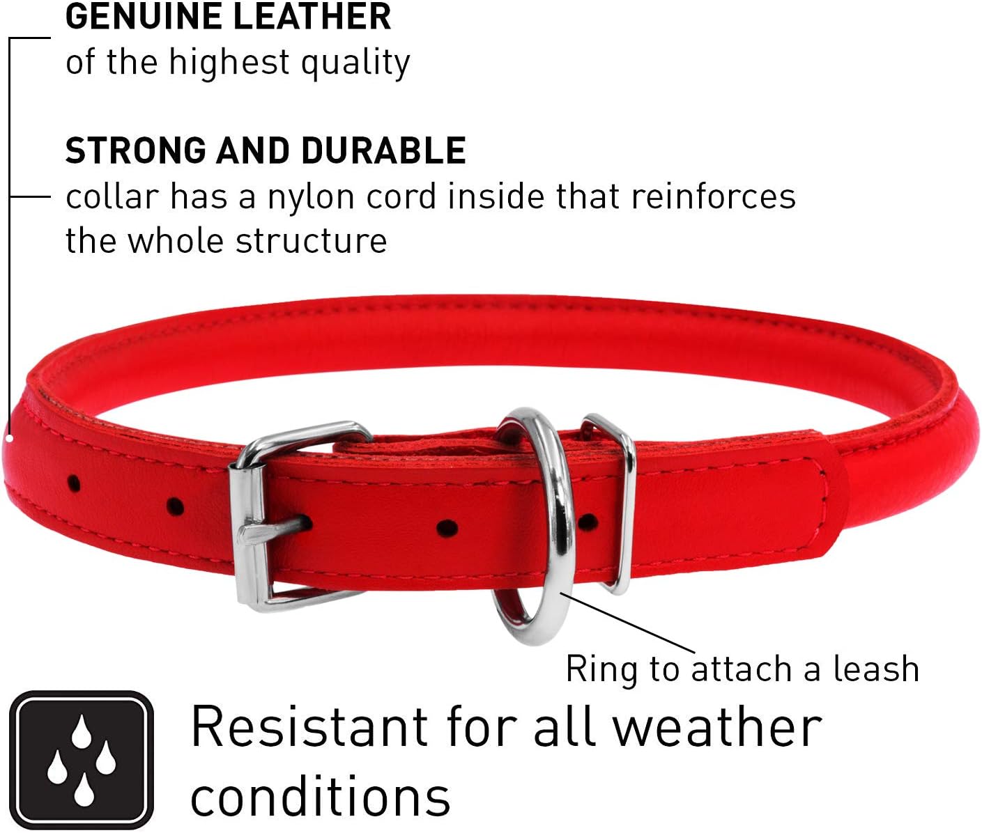 amazon rolled leather dog collar