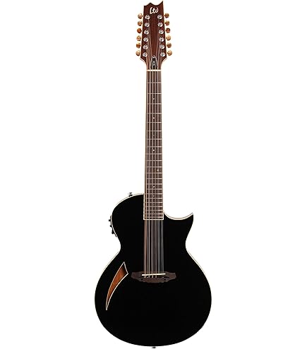 Amazon.com: Ibanez Artcore AS7312 Semi-Hollow 12-String