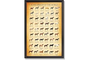 Educational Horse Chart Poster Horse Breeds Of The World Wall Art Vintage Country Farm Decor Animal Breeds Pictures Prints Pa