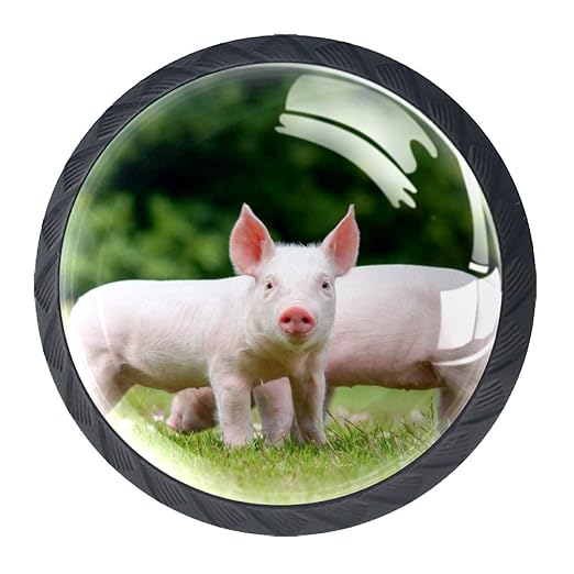 Schrankknöpfe 4er Pack Nettes Tierschwein Kleiderschrank Knöpfe
