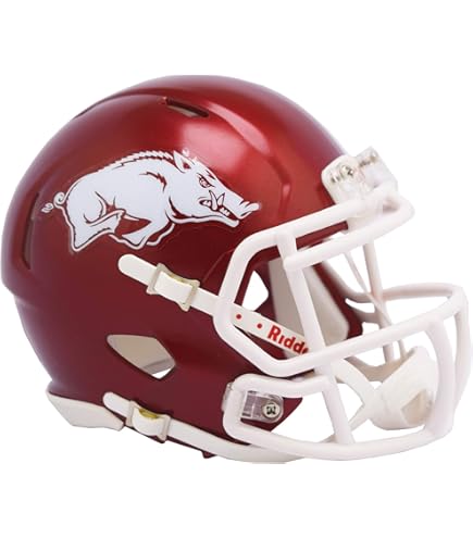 Amazon.com : Riddell NCAA South Carolina Fighting Gamecocks Full Size Speed  Replica Football Helmet : Sports & Outdoors