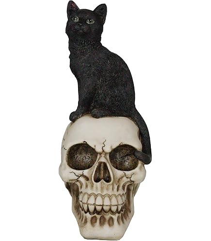 Amazon.com: Pacific Giftware Black Cat on Skull Figurine, 9.57