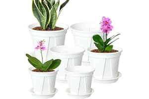 IWNTWY Plant Pots 7/6/4.7 Inch Set of 6, Clear Plastic Nursery Pots with Drainage Holes and Saucers, Seedling Pots Seed Starter Pots Planter Pots for Indoor Outdoor Plants (White)